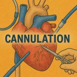 保護中： MICS あるいはFFの脱血管のエコーでの誘導