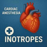 心臓麻酔　カテコラミンの使い方